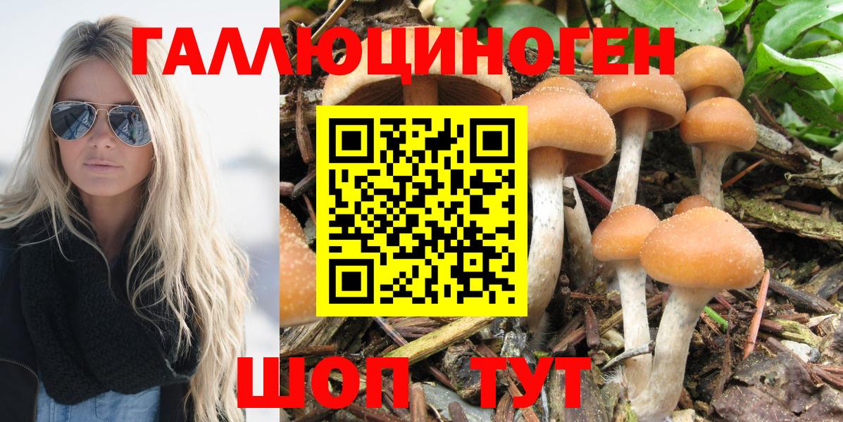 Галлюциногенные грибы мухоморы Сыктывкар