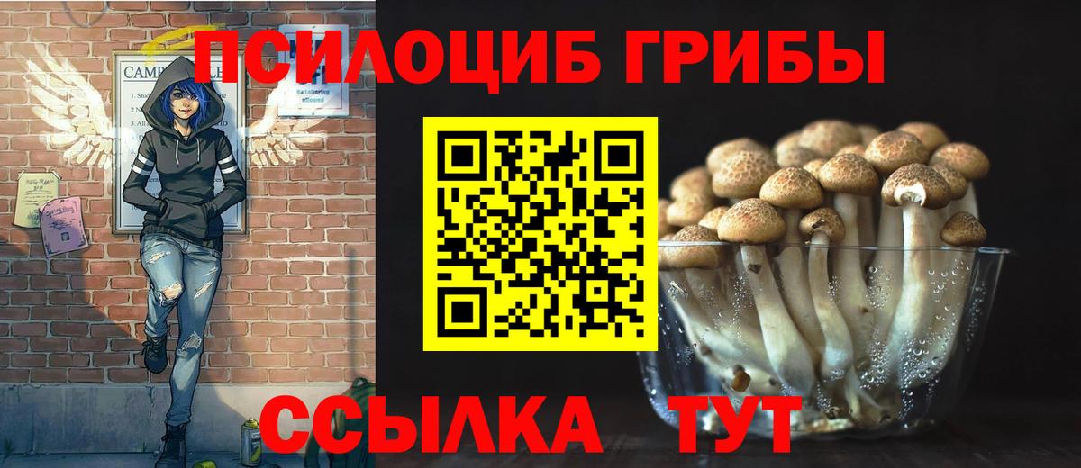 Сыктывкар  Галлюциногенные грибы прущие грибы  Вход с VPN  Псилоцибиновые грибы GOLDEN TEACHER 