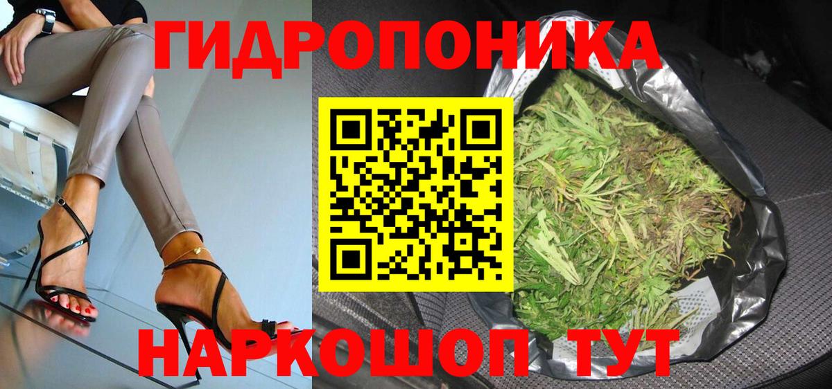 Бошки марихуана Ganja Сыктывкар